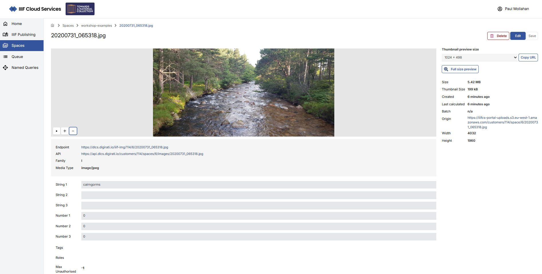 IIIF Image metadata
